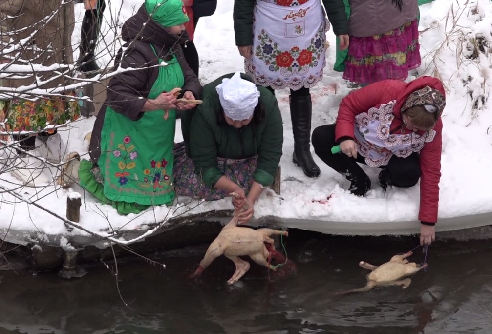 В Пермском крае отметили праздник гуся. Там прошел парад гусей в маскарадных костюмах и обряд закалывания птиц 