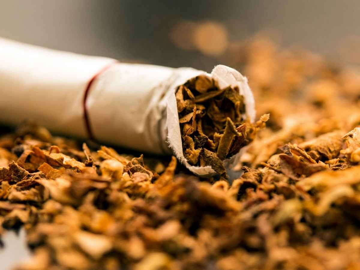 Депутаты Госдумы предложили перенести срок начала маркировки табачной продукции на 2024 год 