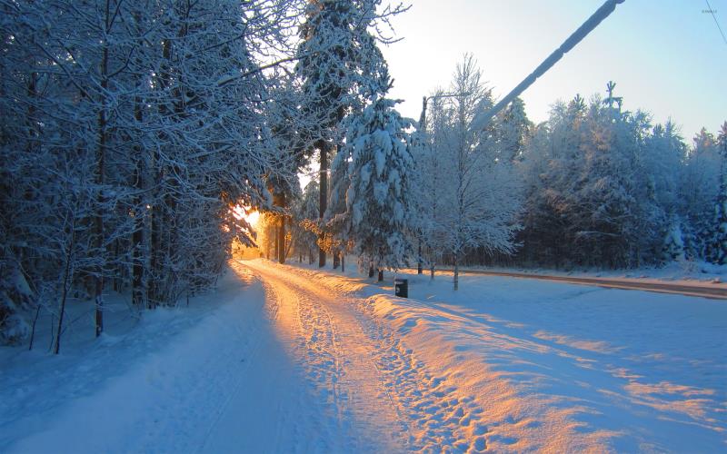В Перми на выходных ожидается аномально теплая для января погода