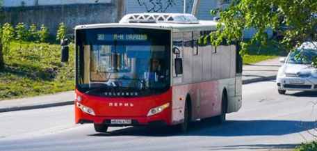 Мэрия Перми объявила конкурсы на обслуживание городских автобусных маршрутов