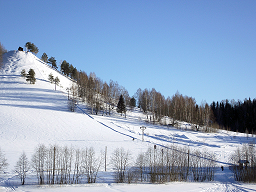 Первого декабрьского снега в Пермском крае может не хватить для открытия горнолыжного сезона