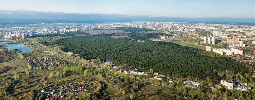 Ученый: Строить гостиницу в Черняевском лесу нельзя, он сразу начнет медленно деградировать
