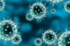 В Прикамье от коронавируса оправилось почти 80% заболевших