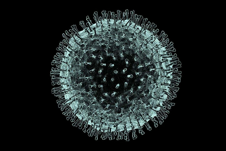 В Прикамье за сутки выявили 287 случаев заражения коронавирусом