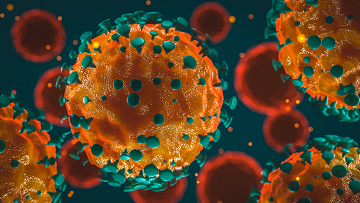 В Прикамье за сутки выявили 290 новых случаев заболевания коронавирусом