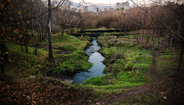 Ученые: вода в малых реках Перми стала чище