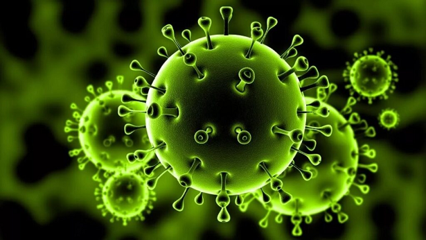 За сутки в Пермском крае выявлено 320 новых случаев заболевания коронавирусом