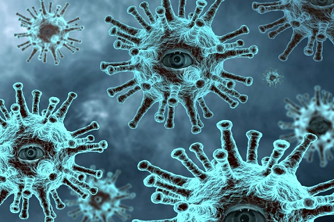 В Прикамье за сутки выявили 288 новых случаев заболевания коронавирусом