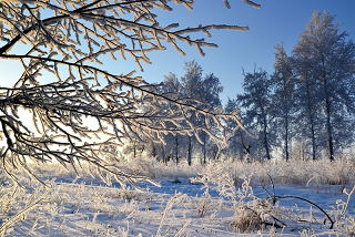 В выходные температурные показатели в Пермском крае могут достигнуть -40°C