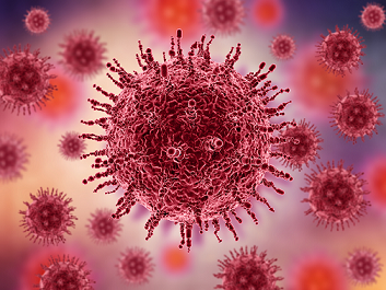 На 18 территориях Прикамья за сутки выявили новые случаи коронавируса