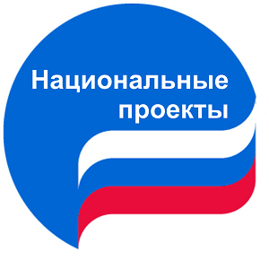 В Пермской гордуме оценили реализацию нацпроектов по итогам 2020 года