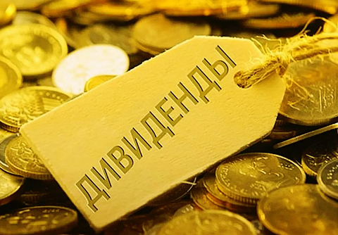 Компания бывшего губернатора Прикамья выплатила почти 100 млн рублей дивидендов