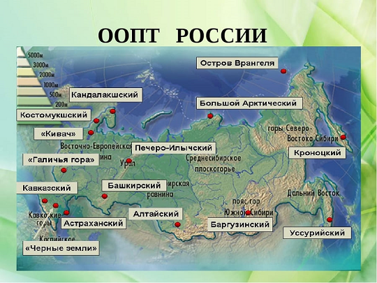 В Пермском крае выявлены нарушения защиты особо охраняемых природных территорий 