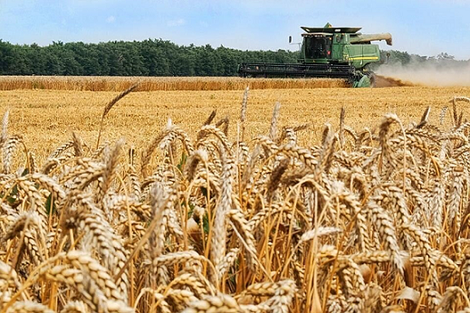 Эксперт: «Введенный в Прикамье из-за засухи режим ЧС не скажется на потребителях сельхозпродукции»