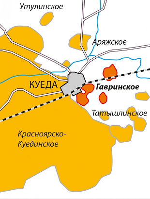 Нефтяники «Лукойл-Перми» получили лицензию на Гавринское месторождение 