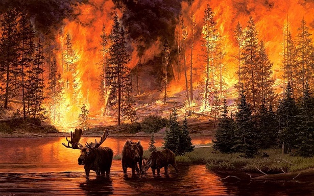 Марина Трунина о лесных пожарах в Прикамье