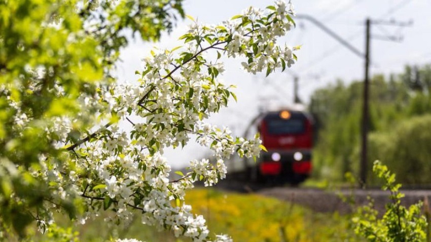 На майские праздники из Перми в Новороссийск и Москву добавят дополнительные поезда