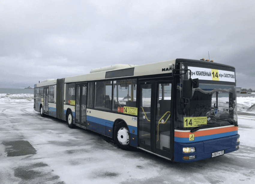 В Перми могут запустить автобусы-гармошки в 2025 году