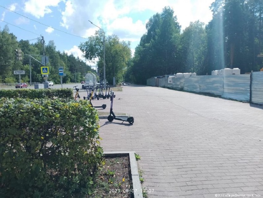 С 7 августа посещение Балатовского парка будет для пермяков под запретом