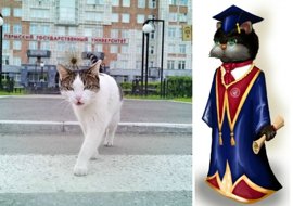 Талисманом ПГНИУ стал университетский кот