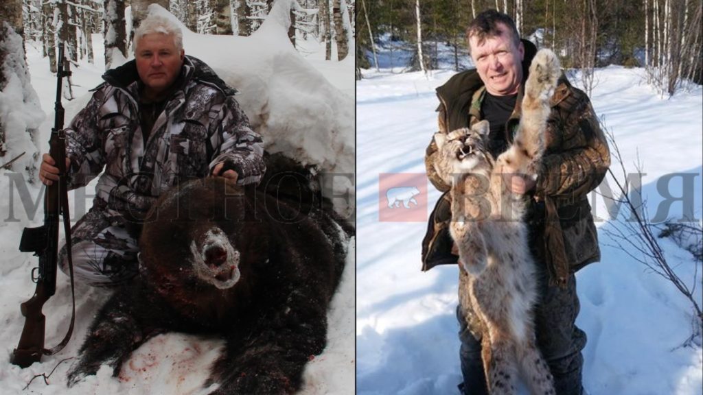 В Пермском крае чиновник и бывший энергетик на зимней охоте убили медведя и рысей