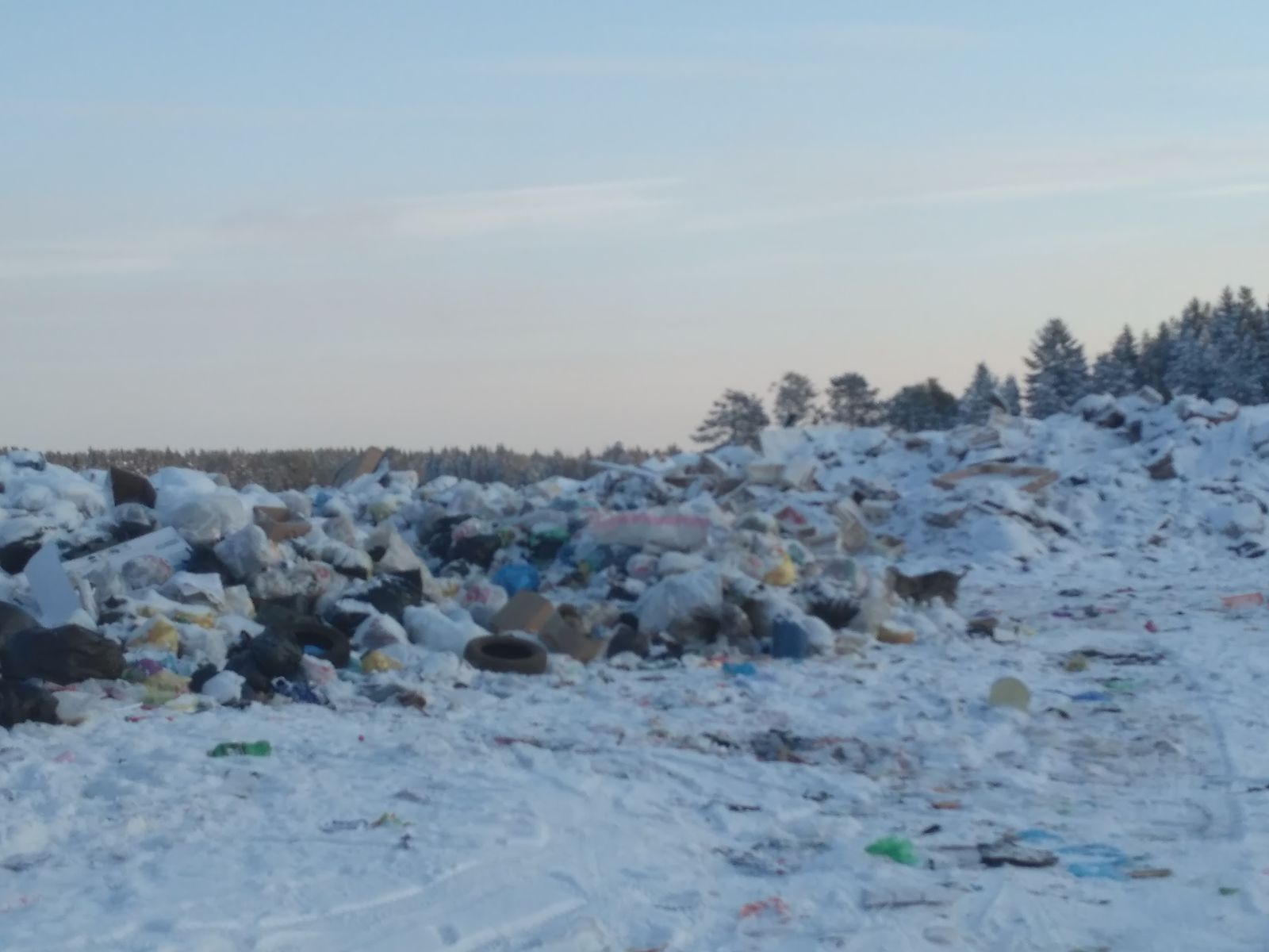 В схему по обращению с мусором в Прикамье добавили пять мусорных полигонов 