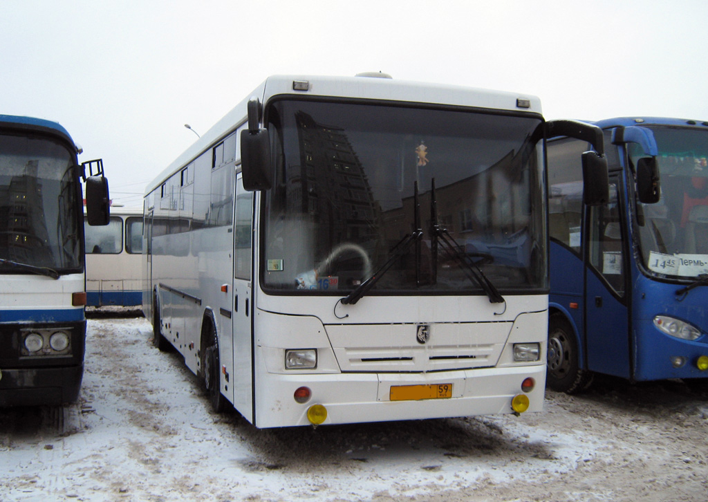 В Перми ищут перевозчиков на автобусные маршруты № 7 и 34