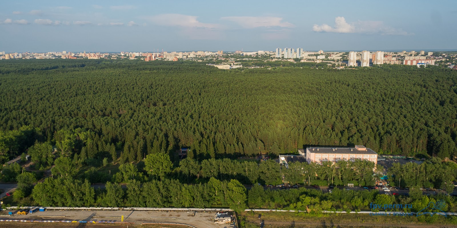 Черняевский лес в Перми обработают от клещей только к майским праздникам