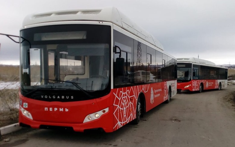 «Пермгорэлектротранс» получил контракты на автобусные маршруты, заменяющие троллейбусные