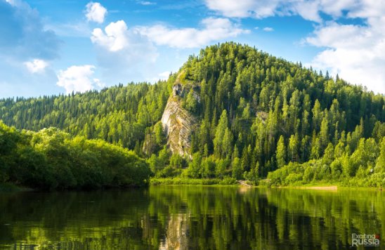 Минприроды Прикамья потратит 104 миллиона рублей на лесоустройство Чердынского района