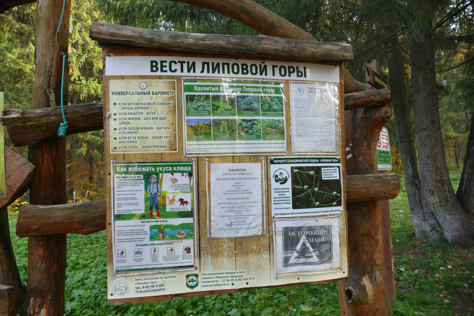 В Перми общественники планируют установить вышку для наблюдения за птицами