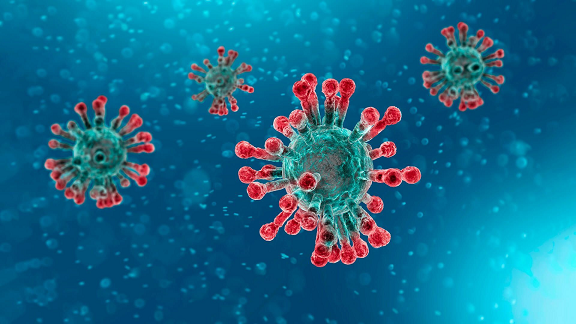 В Прикамье за сутки выявили 331 новый случай заболевания коронавирусом