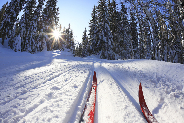 Более 180 км лыжных маршрутов проложено в городских лесах Перми