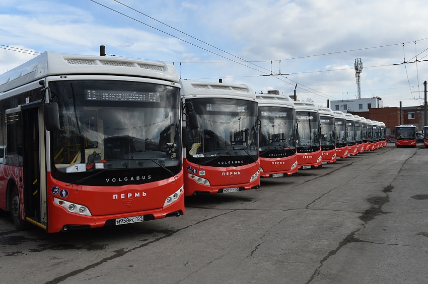В 12 пермских автобусах выявлены нарушения санитарных норм