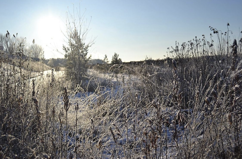 В Пермском крае высота снежного покрова достигла 35 сантиметров 