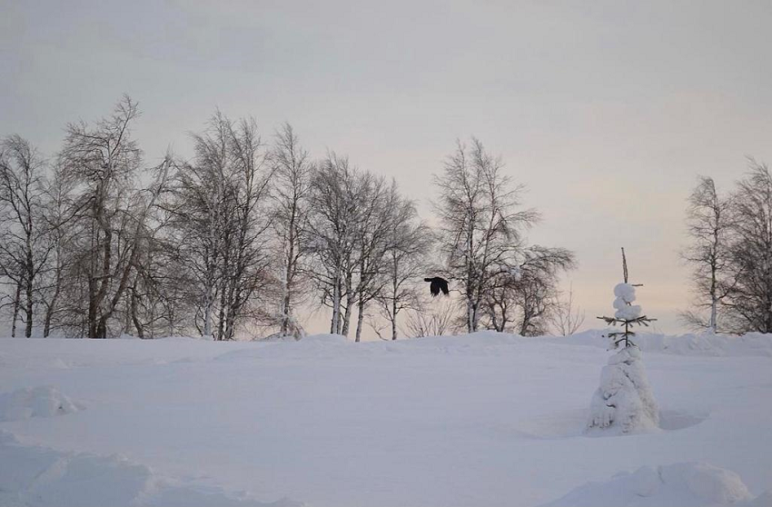 Инженер ГИС-центра ПГНИУ Андрей Шихов о предстоящей зиме: «Вряд ли она будет теплой»  