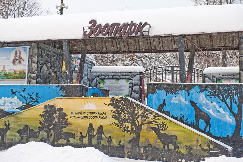 Российское Правительство просит ускорить переезд пермского зоопарка