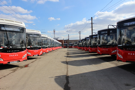 Пермь вошла в ТОП-5 городов по решениям в сфере развития общественного транспорта