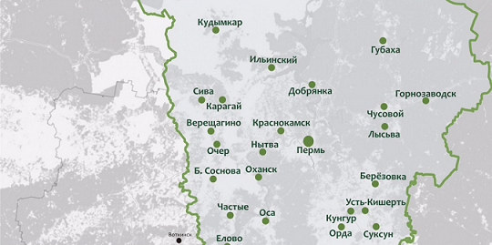 В 10 территориях Пермского края за сутки выявили новые случаи коронавируса