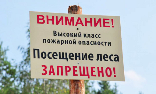 Жителям Пермского края временно запрещено находиться в лесах до 23 мая