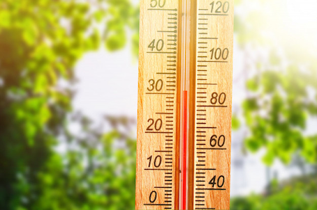 В Пермском крае в выходные температура воздуха поднимется до +29 градусов 