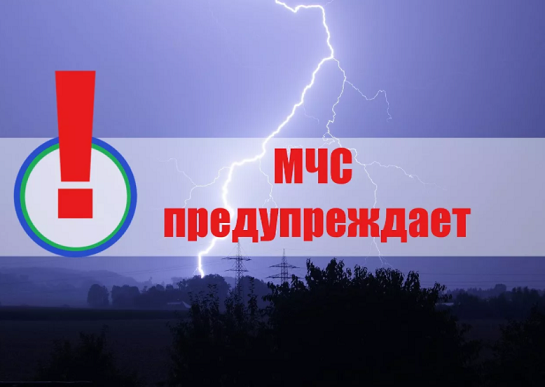 В МЧС предупредили жителей Пермского края о грозах и сильных порывах ветра 24 июня 