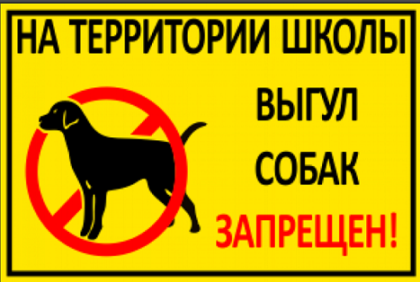 В Перми запретили выгул собак в сквере у оперного театра
