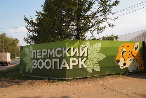 В Перми подрядчик строительства зоопарка сознался в обналичивании 9 млн рублей