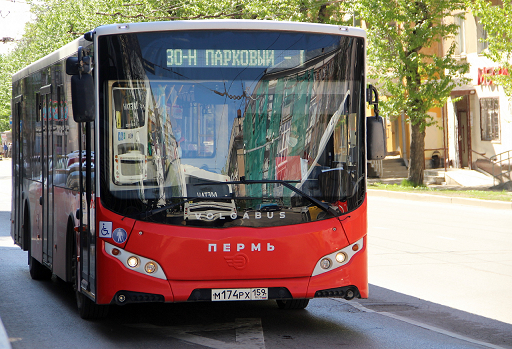 В Перми с 1 сентября увеличится количество автобусов на рейсах