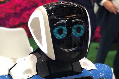 В учебных заведениях Прикамья смогут преподавать роботы 