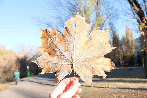 Здравствуй, осень: В Пермском крае в выходные температура приблизится к 0°С
