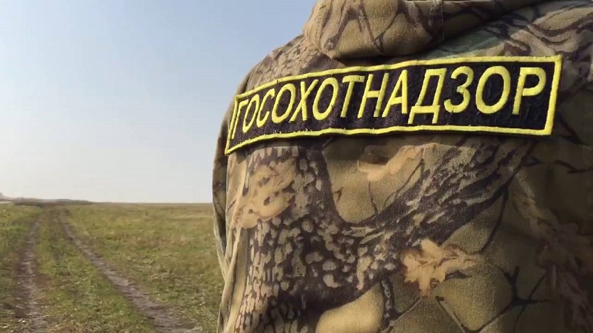 Специалист госохотнадзора Александр Порошин о том, по какой причине в Прикамье произошло большое количество происшествий с участием диких животных