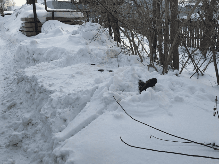 В Перми благодаря собаке спасли замерзающую в сугробе пожилую женщину
