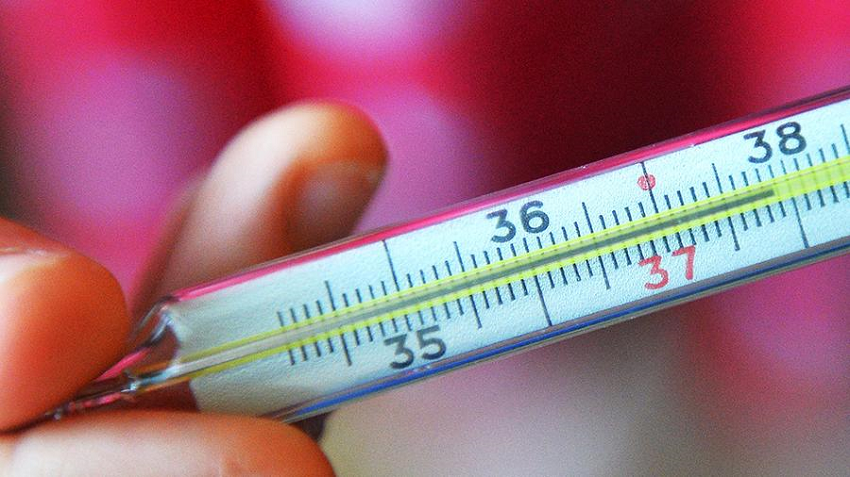 За неделю в Прикамье ОРВИ и гриппом заболели более 14 тысяч человек